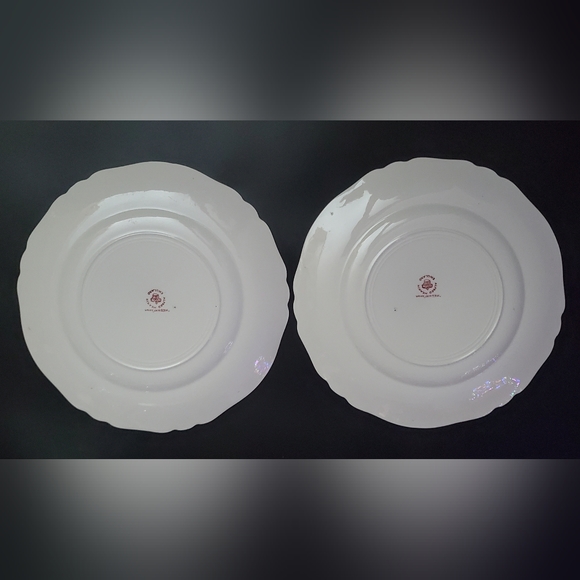 Vntg (2) 10" Pink Red on White "Medway" Decor Alfred Meakin 🇬🇧 England - Picture 5 of 6